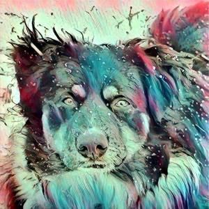 Meet your Posher, Dana